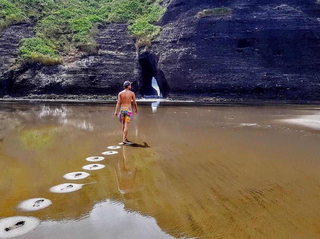 Trippy - West Auckland Adventures-皮哈海滩必去景点