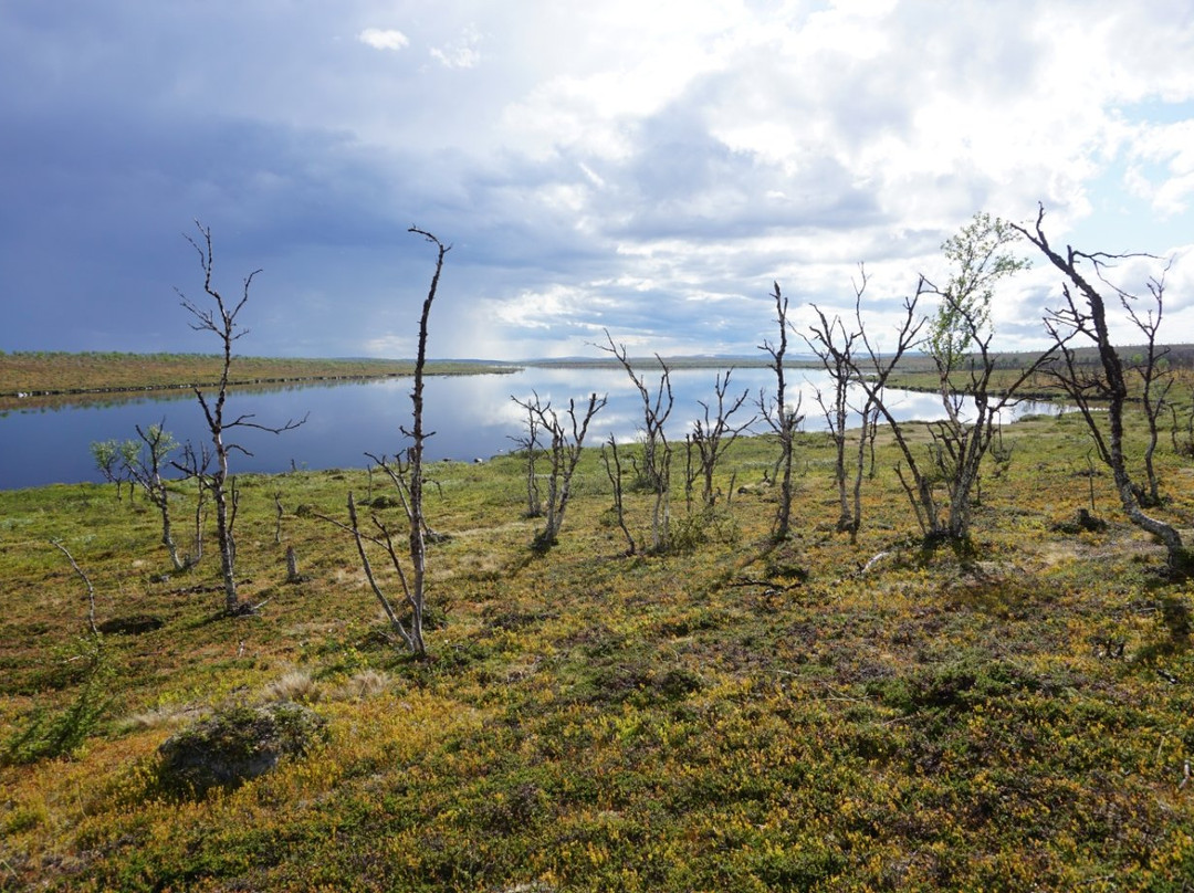 Kaldoaivi Wilderness Area-Utsjoki必去景点