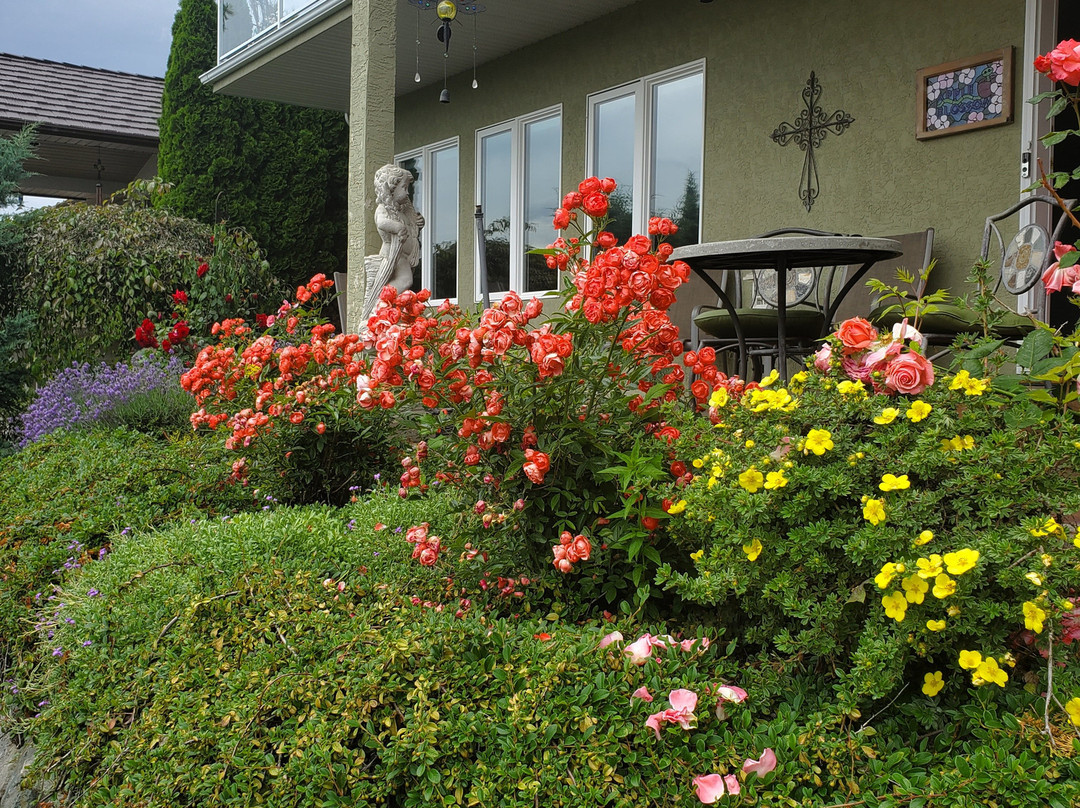 Apple Blossom Bed & Breakfast主图