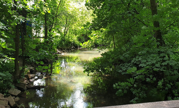 Neanderland Steig-Mettmann必去景点