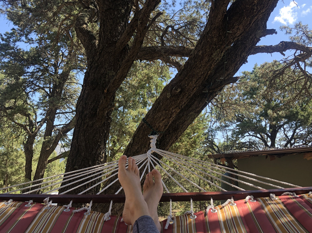 Enchantment Equitreks-Edgewood必去景点