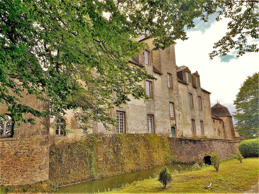 Eglise Saint Martin景点图片