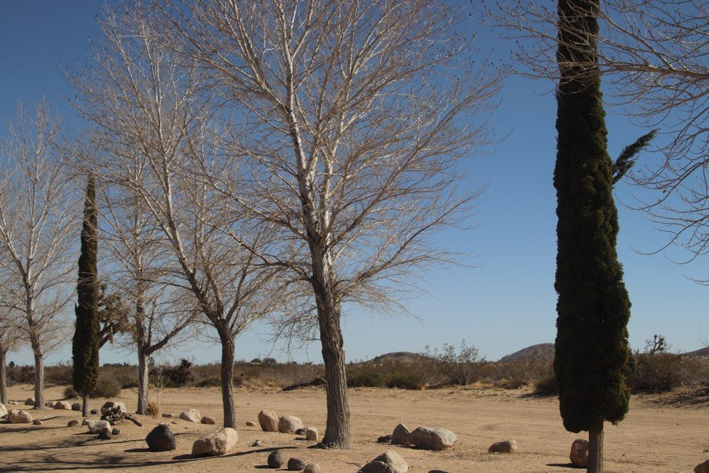 Homestead Valley Park and Recreation-Landers必去景点