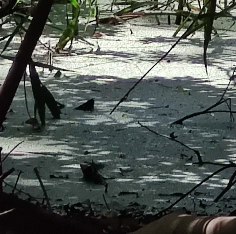 Shvil Nakhal Na'aman-Qiryat Bialik必去景点