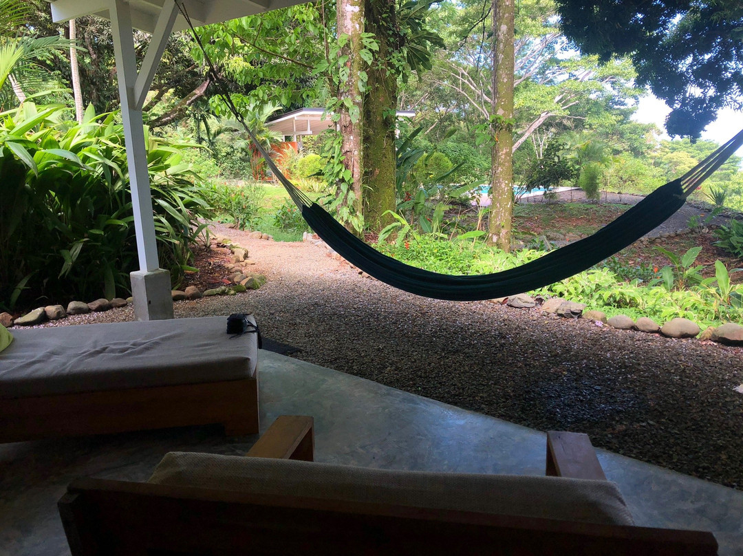 Tree of Life Cabinas主图