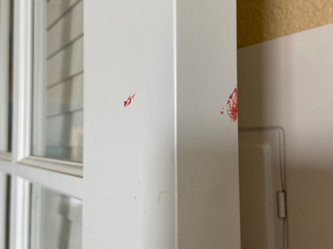 MainStay Suites Madison Airport主图