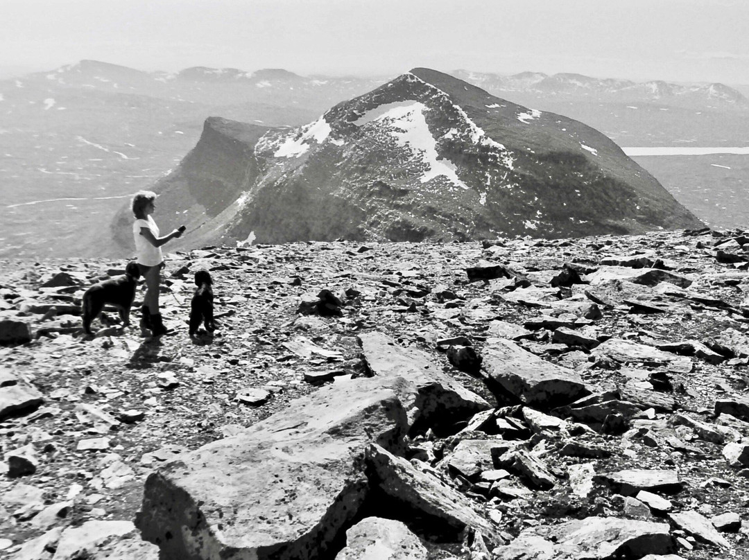 Ljungdalens Hemslojd & Cafe-Ljungdalen必去景点