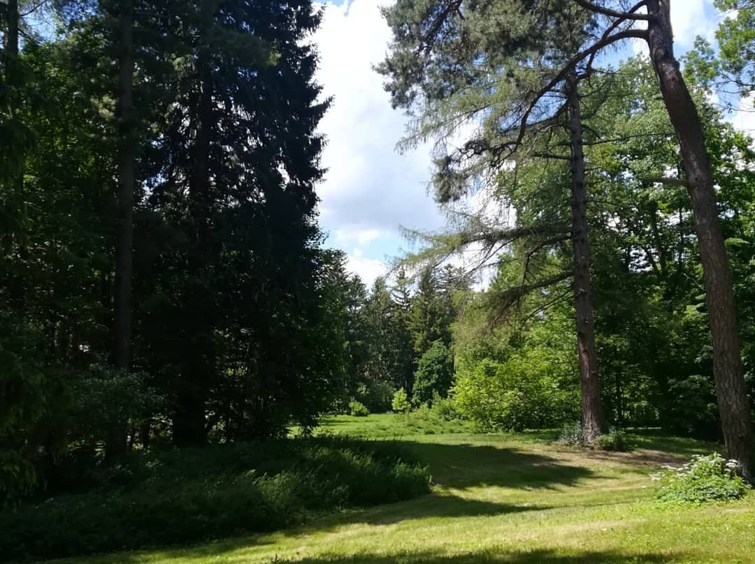 Arboretum Garden景点图片