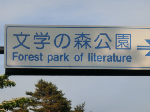 Lake Yamanaka Literature Forest Tokutomi Souhonkan景点图片