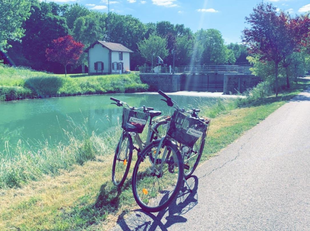 Facil-e-bike景点图片