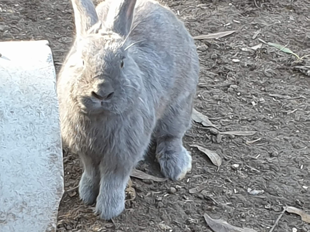 Morvern Valley Guesthouses主图