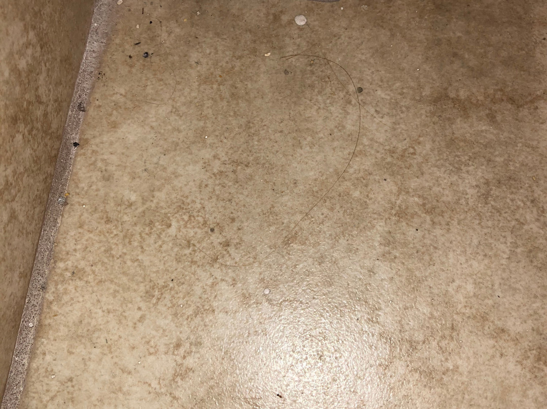 塔斯科拉快捷假日酒店主图