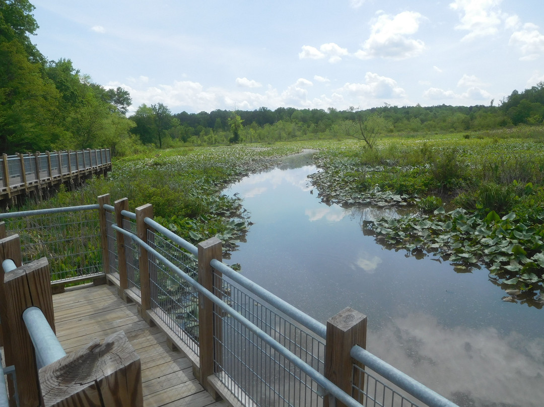 Tuckahoe Creek Park景点图片
