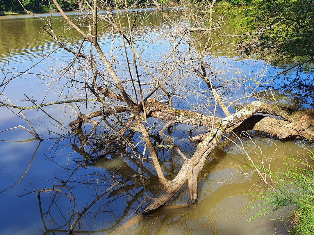 Forêt de Bouconne-Levignac必去景点