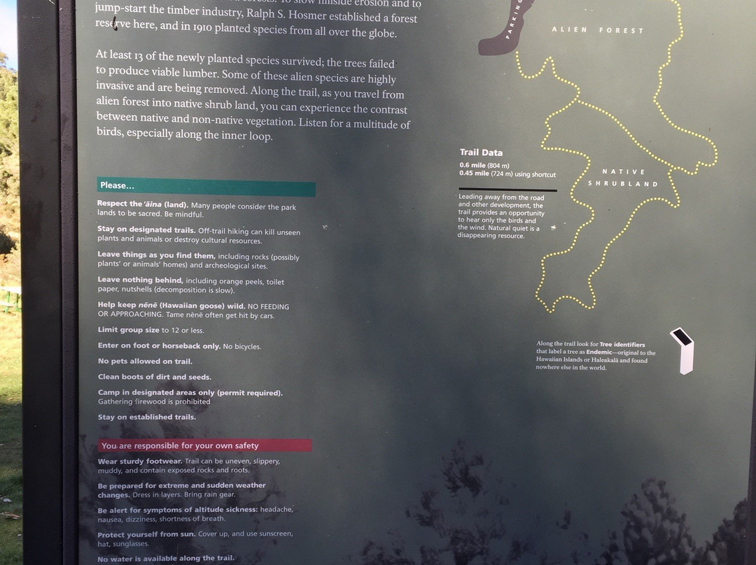 Hosmer's Grove-库拉必去景点