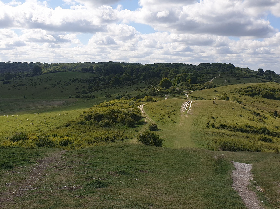 Ivinghoe Beacon景点图片