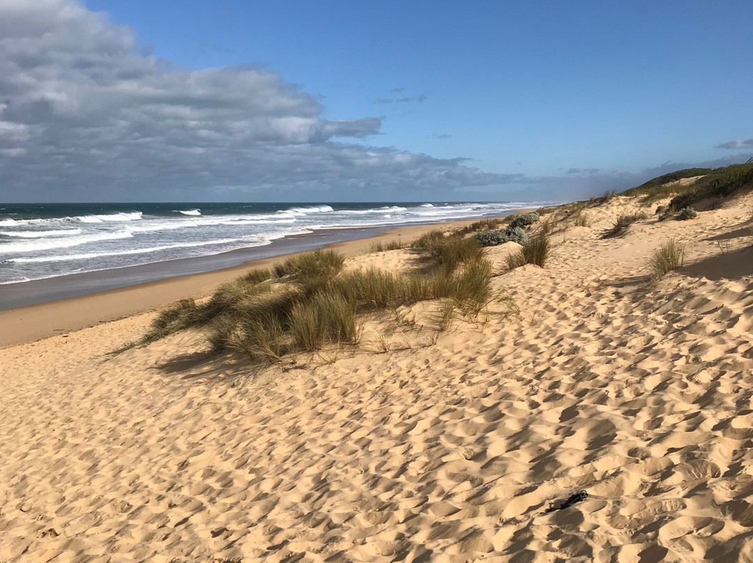 Stockyard Hill Surf Beach景点图片