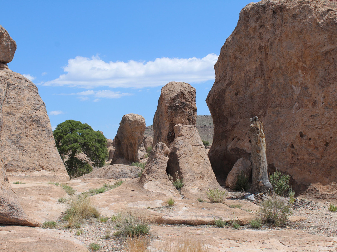 City of Rocks State Park-Deming必去景点