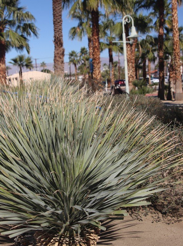 La Quinta Park-拉金塔必去景点