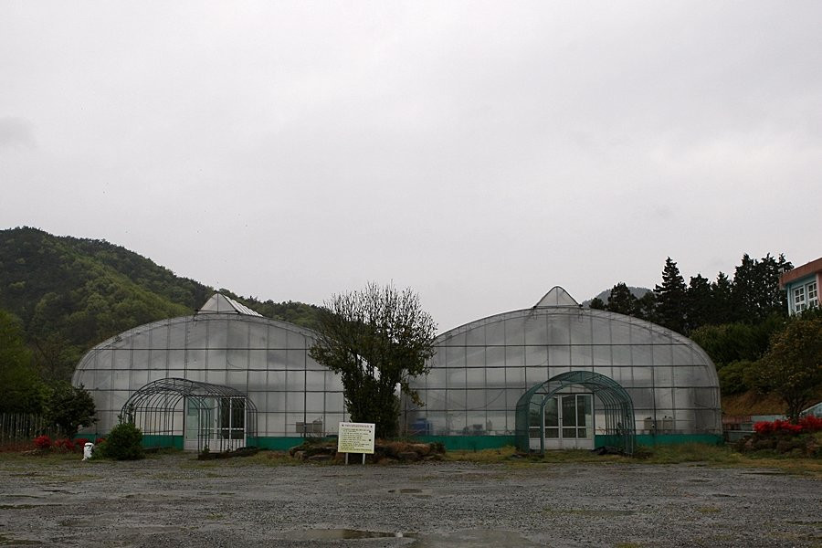 Goheung Coffee Sagwan Hakgyo-高兴郡必去景点