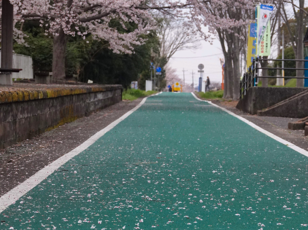 Tsukuba Rinrin Road-樱川市必去景点