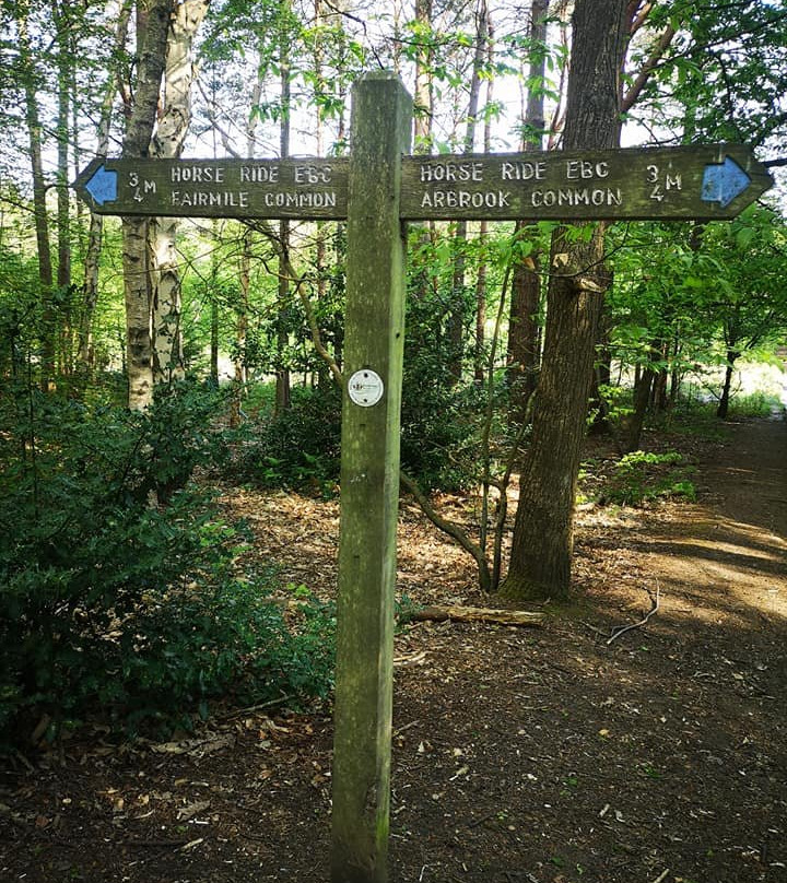 Esher Common-Esher必去景点