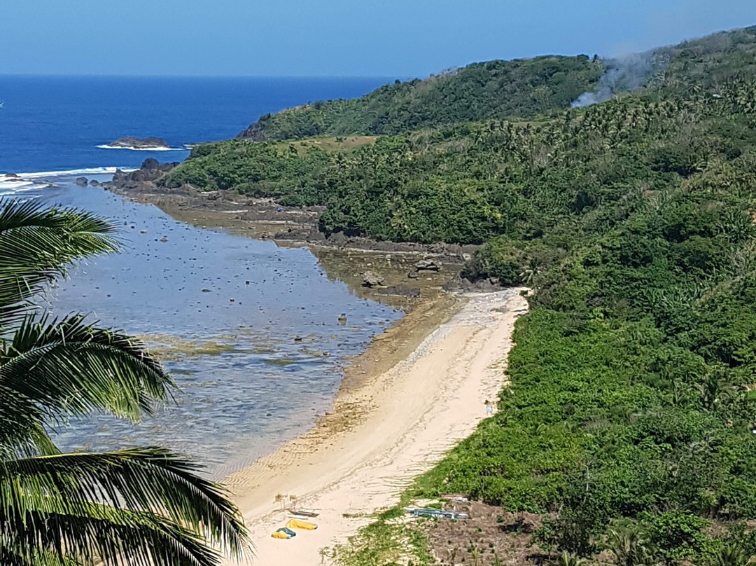 Alon Surf Stay主图