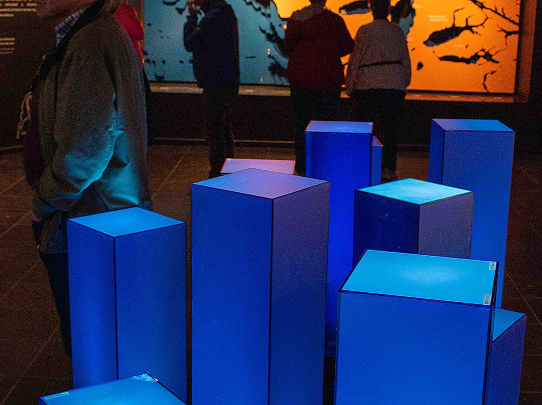 Museo del Estrecho景点图片
