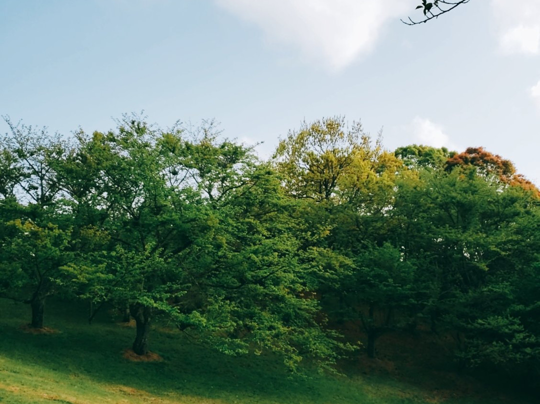Kagamiyama Observatory景点图片