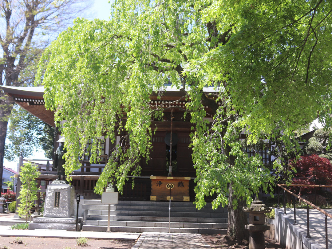 Konzoin Temple-小金井市必去景点