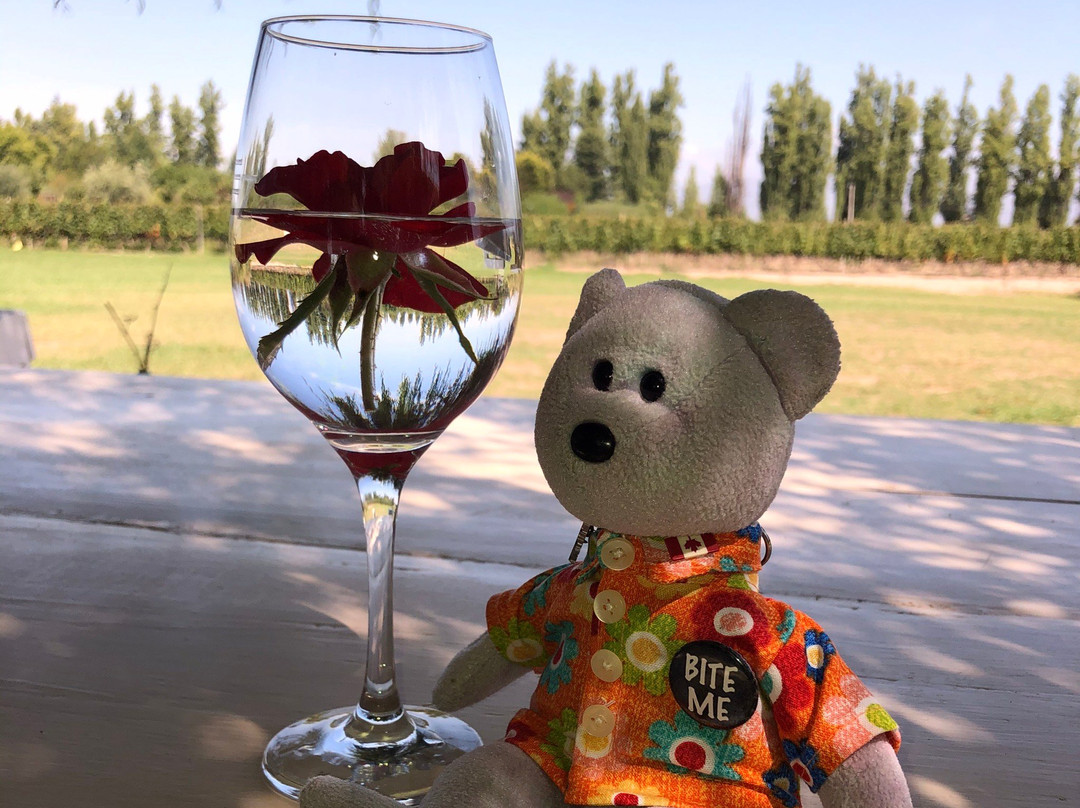 Trez Wines景点图片
