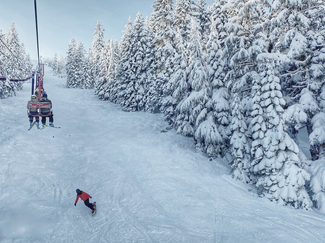 Mt. Ashland Ski Area-阿什兰必去景点