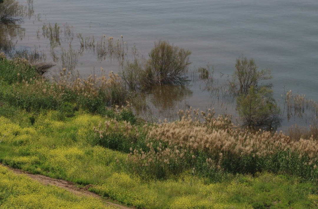 מצפה נוקייב-Kinneret必去景点