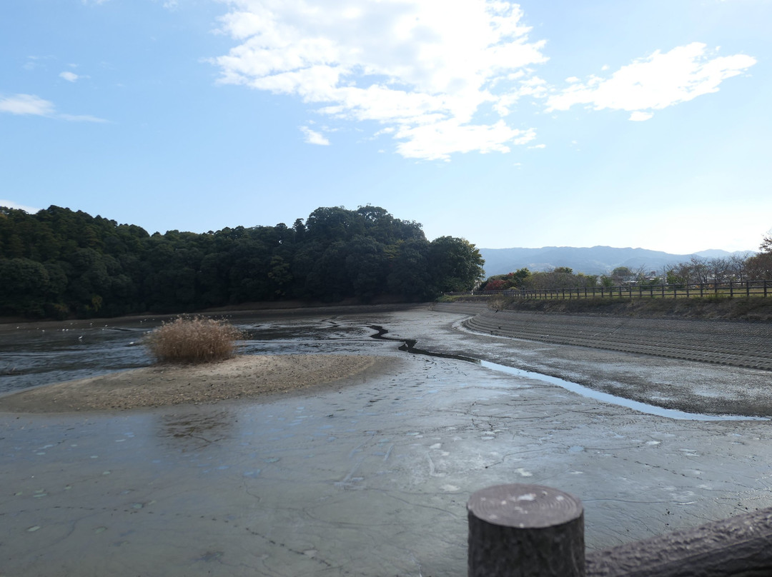 Hashihaka-樱井市必去景点
