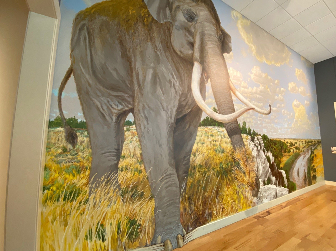 Mayborn Museum Complex-韦科必去景点