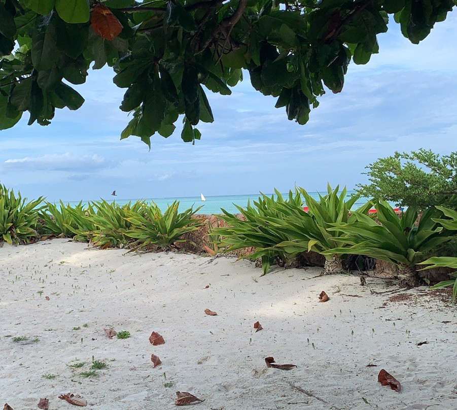 Arabian Nights Hotel主图