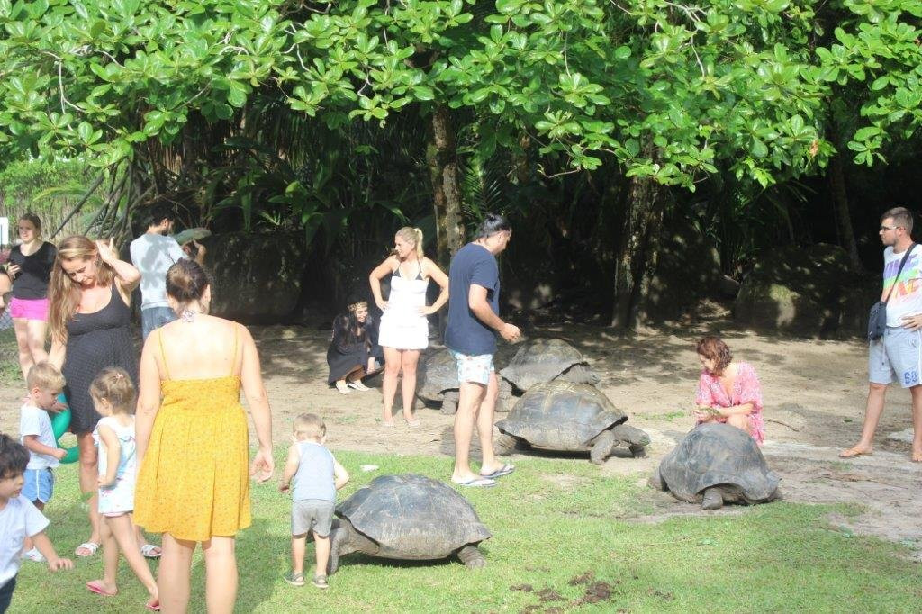 康斯丹艾菲莉亚度假村主图