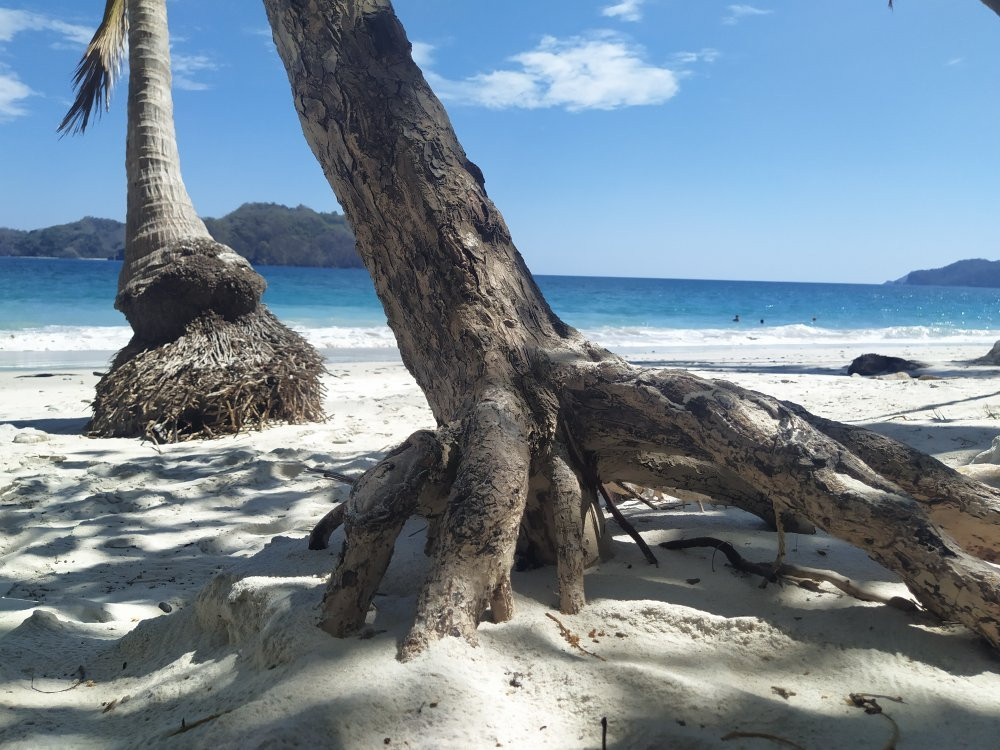 Playa Quesera景点图片