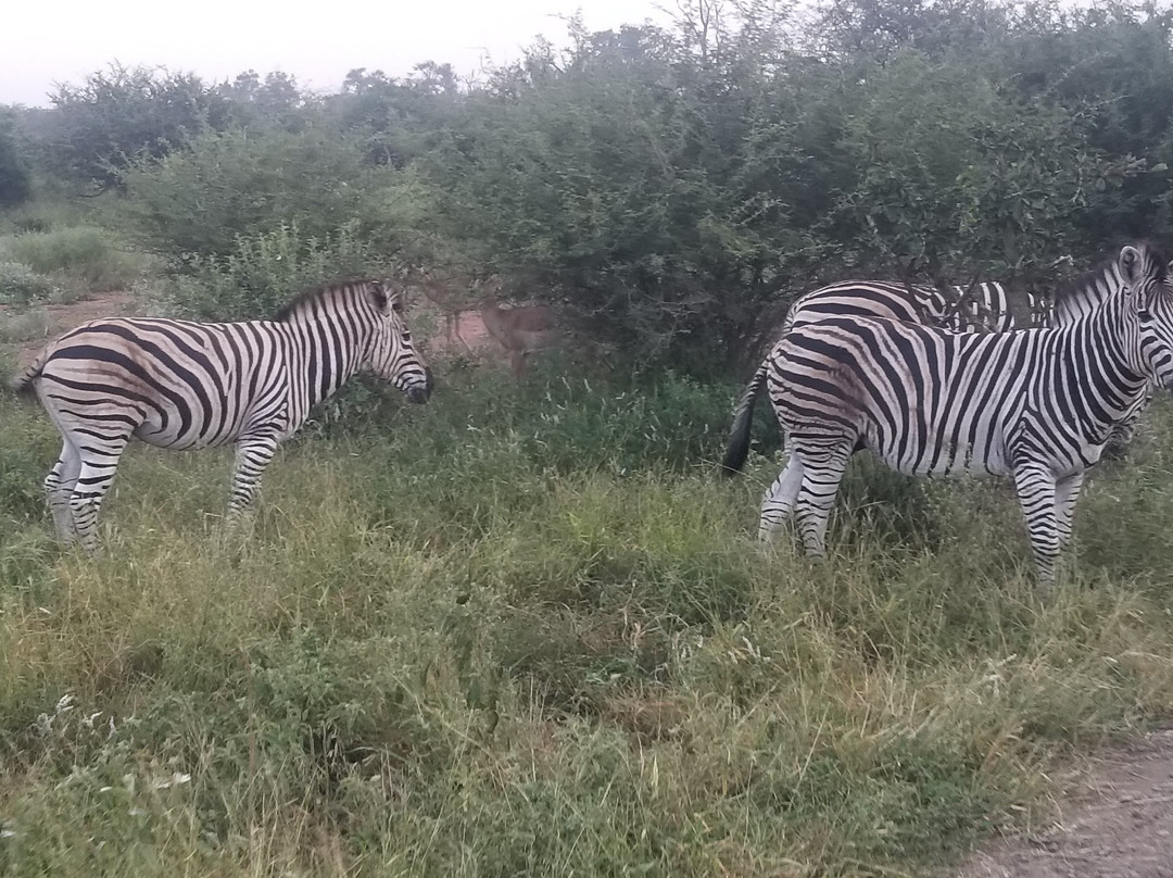 Sentashya Safaris-玛洛斯帕克必去景点