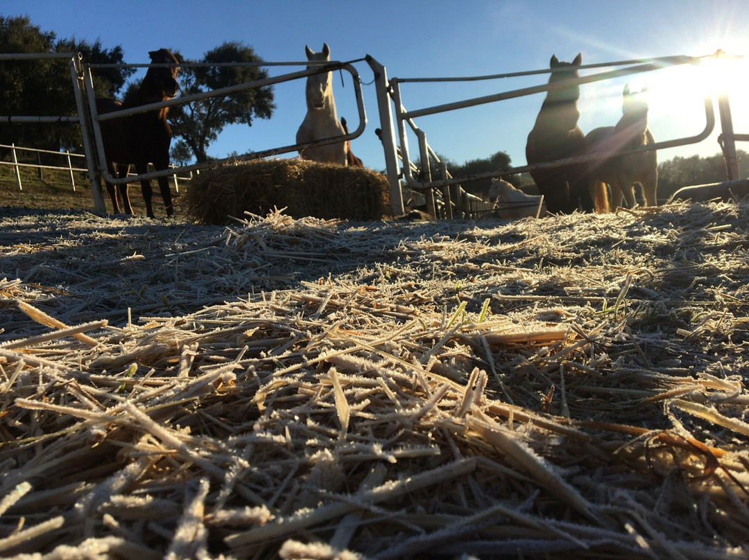 Finca la Suerte. Picadero La Suerte-Galaroza必去景点