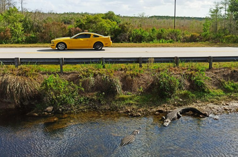 Big Cypress Oasis Visitor Center-奥乔皮必去景点
