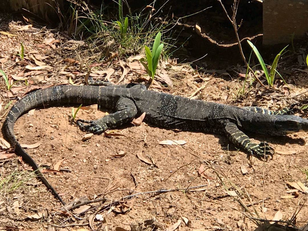 Kianinny Bush Cottages主图