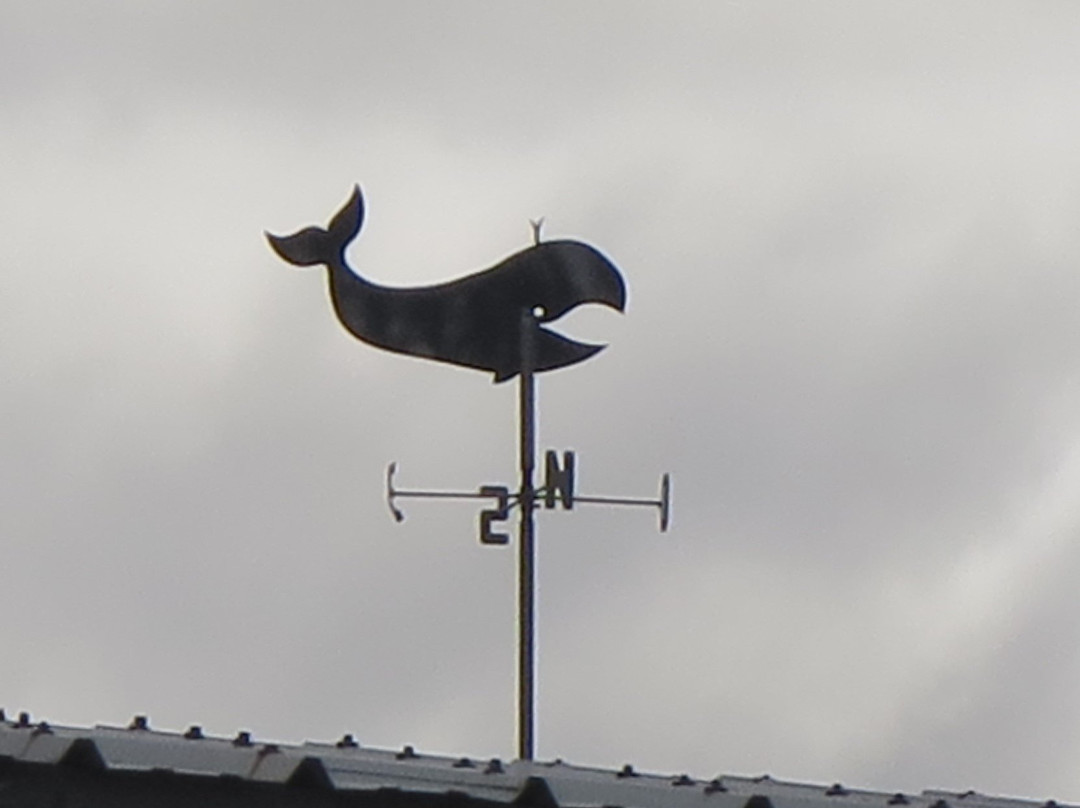 Reserve Naturelle du Marais d'Yves