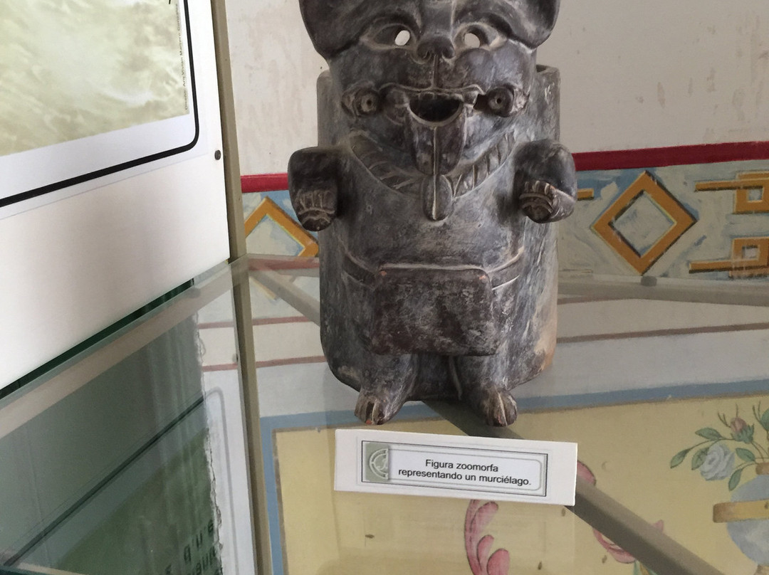 Museo de Arqueologia景点图片
