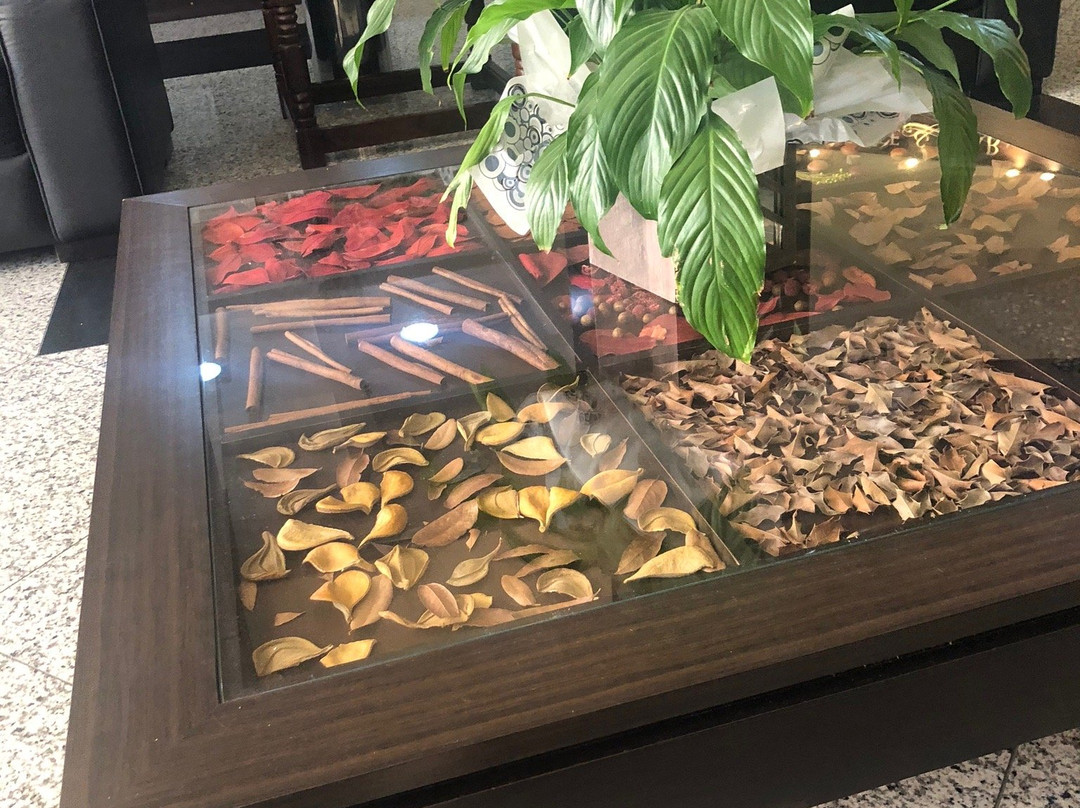 Hotel Campo Largo Comfort主图