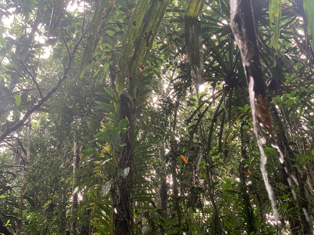 Kay Services Tour-Nausori必去景点