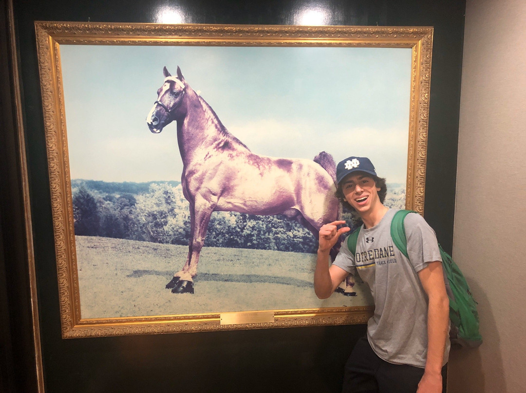 Walking Horse Lodge主图