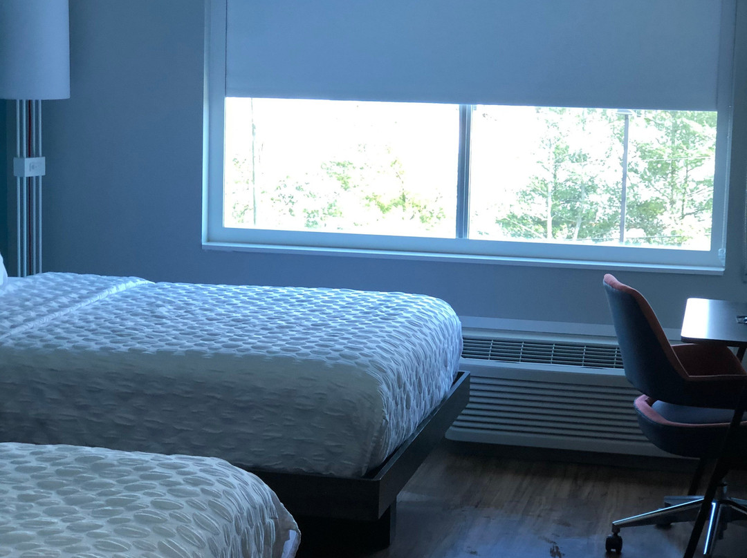 Tru by Hilton Knoxville North I 75主图