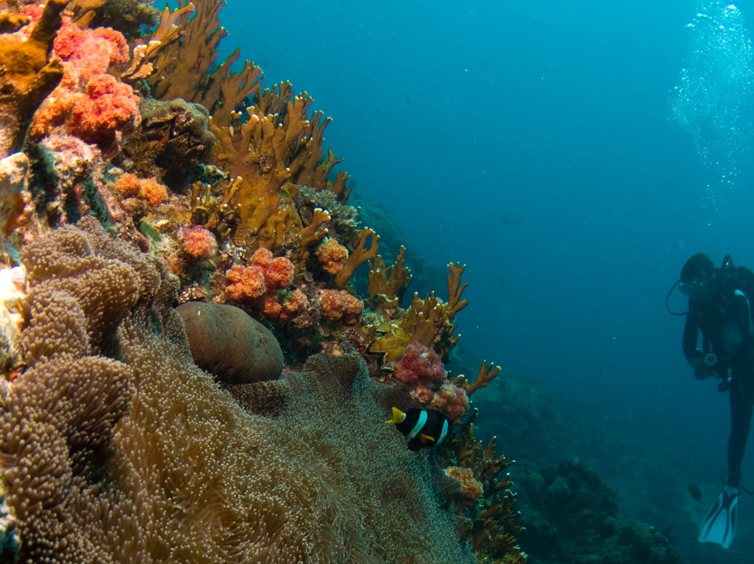 Raya Divers-奥南必去景点