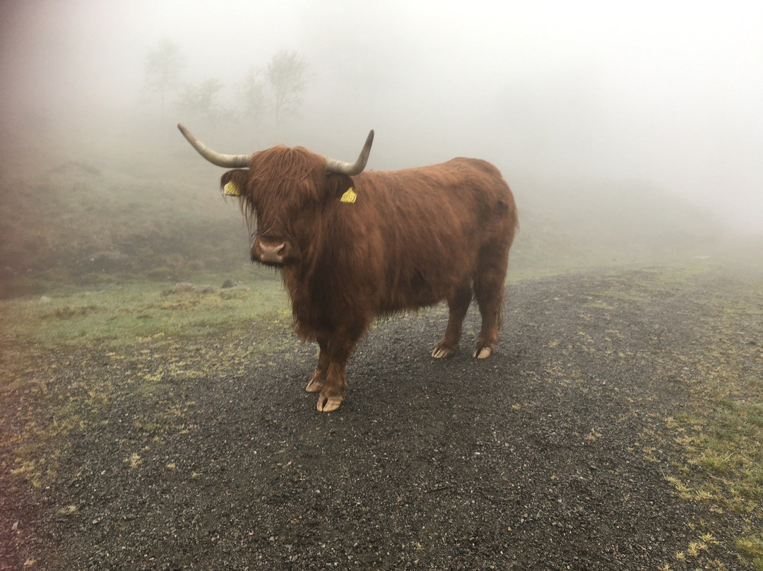 Smiedal Aktivitetsferie - Day Tours-Akra必去景点